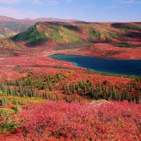 NP Denali - Wonder Lake
