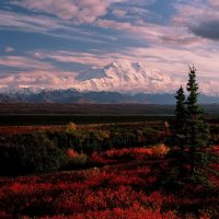 Mt. McKinley - Denali 6190 m