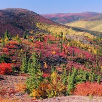 Chena Dome Trail