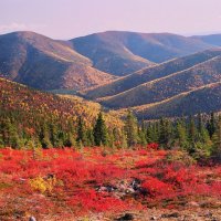 Chena Dome Trail