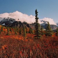NP Wrangell- St.Elias - Mt. Blackburn