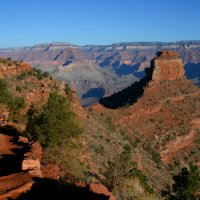 Po stezce chodí do Grand Canyonu nejen lidé,