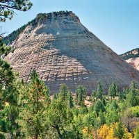 Zion - Checkerboard Mesa