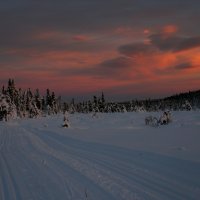 Smrákání na stopě z Rømåsmyry do Leindalen