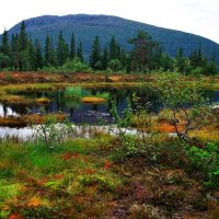 Horská oblast u jezera Tunnsjøen