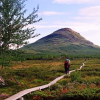 NP Abisko