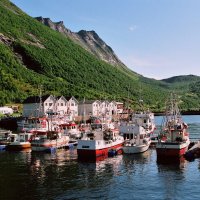 Senja - Husøy